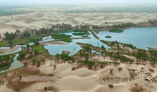 Taklamakan Desert Adventures: Sand Dunes and Oases