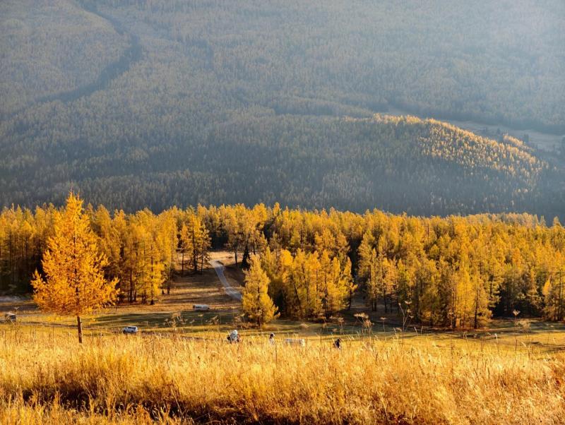 Autumn Travel to Kanas and Hemu – Northern Xinjiang’s Golden Paradise