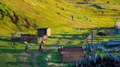 Why go to Altay: Xinjiang Healing Journey