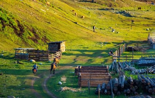 Why go to Altay: Xinjiang Healing Journey