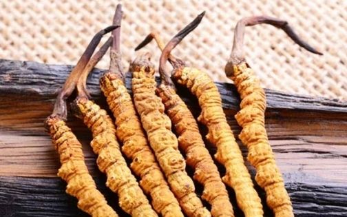 Shigatse Shopping Guide: What to Buy and Where to Go