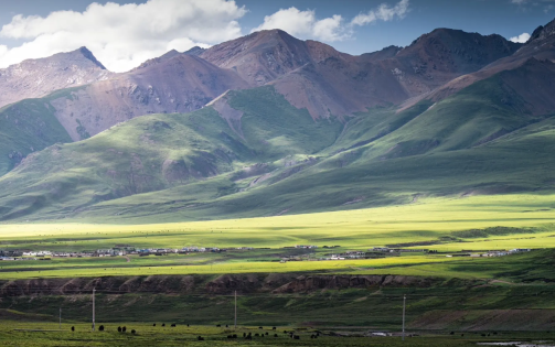 The Wild Beauty of Nagqu Grasslands