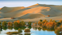 Taklamakan Desert Adventures: How to Explore Safely