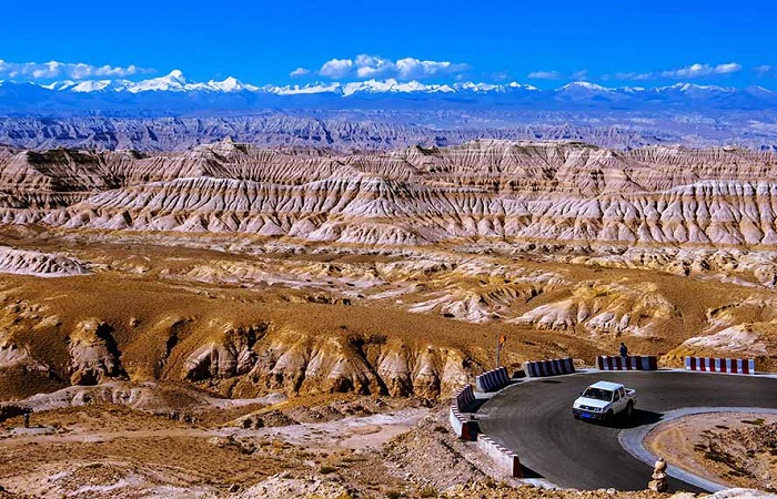 Zhada Earth Forest