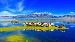 Lake Manasarovar Kora Travel Guide: Routes, Seasons and Practical Tips