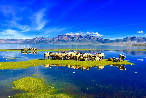 Lake Manasarovar2
