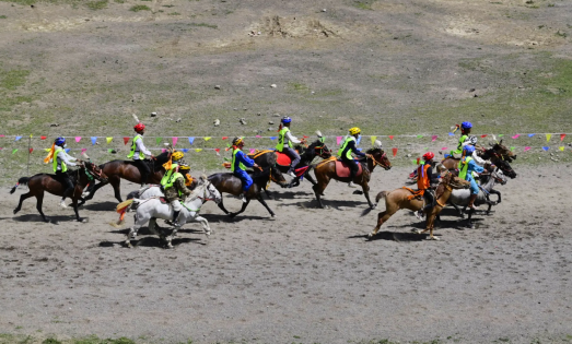 The Wild Beauty of Nagqu Grasslands