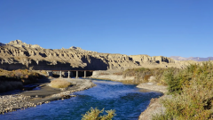 Why Zanda Earth Forest Looks Like a Natural Castle