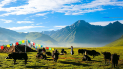 The Wild Beauty of Nagqu Grasslands