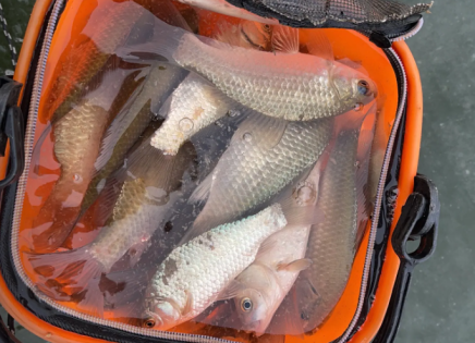 Experience Ice Fishing Like a Local in Northern Xinjiang