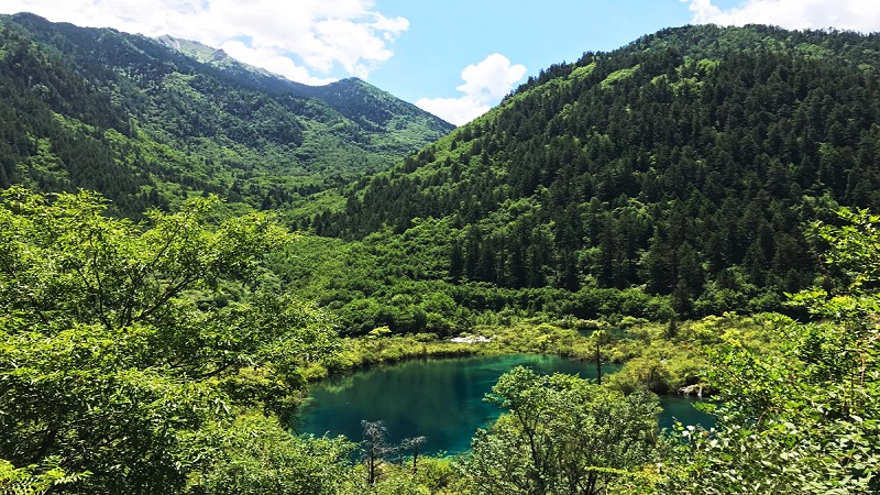 Jiuzhaigou in Summer