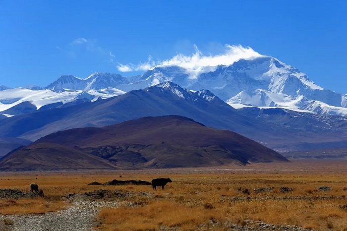 Cho Oyu1