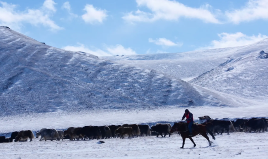 Where to See the Best Snow-Covered Mountains in Xinjiang