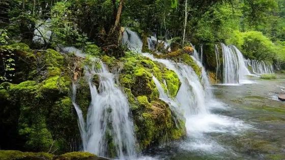 Jiuzhaigou in Summer