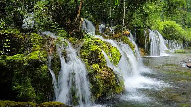 Jiuzhaigou in Summer