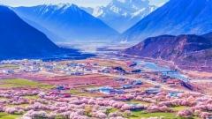 13-Day Tibet Peach Blossom Tour: Bomi, Nyingchi, Lhasa, Namtso & EBC