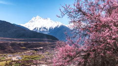10-Day Tibet Peach Blossom Tour: Lhasa, Nyingchi & Bomi with Qinghai-Tibet Train