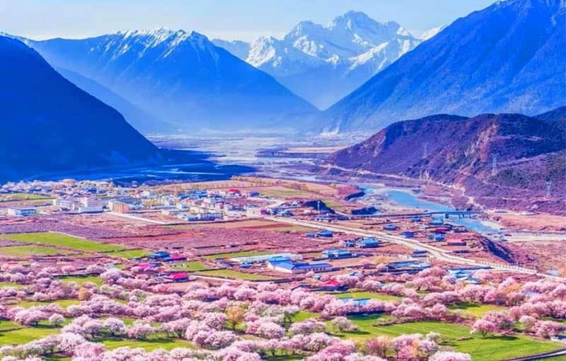 13-Day Tibet Peach Blossom Tour: Bomi, Nyingchi, Lhasa, Namtso & EBC