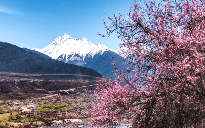 10-Day Tibet Peach Blossom Tour: Lhasa, Nyingchi & Bomi with Qinghai-Tibet Train