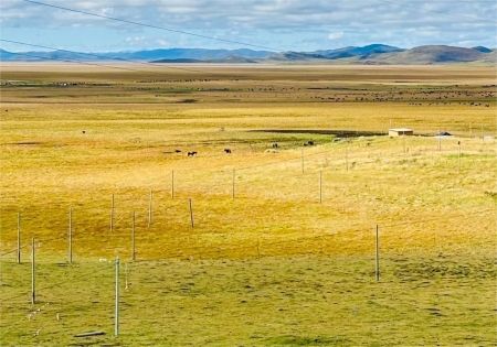 若尔盖把秋天的浪漫拉满了,今日实况_1_333333_来自小红书网页版