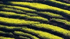 The Best Time to Visit Yunnan: Discover the Charm of Yunnan's Four Seasons