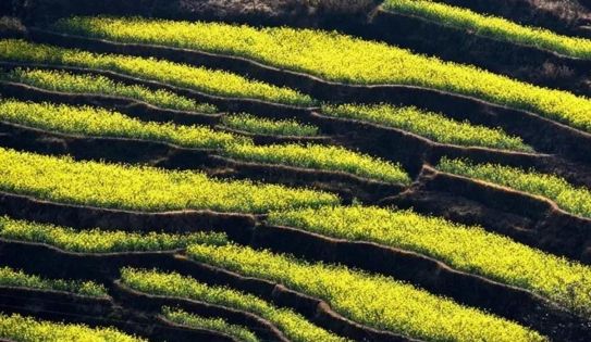 The Best Time to Visit Yunnan: Discover the Charm of Yunnan's Four Seasons