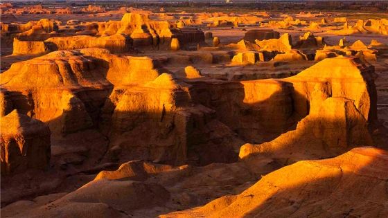 60c5d84373217584a93ef30838f31e45