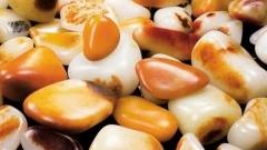 Xinjiang Specialty Shopping Guide | Must-Buy List and Unique Souvenirs for International Travelers