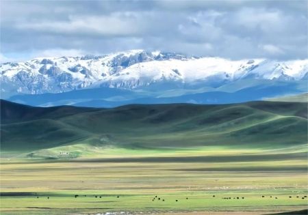 听劝❗若尔盖免费的风景才是天花板!_1_暴走柠萌_来自小红书网页版