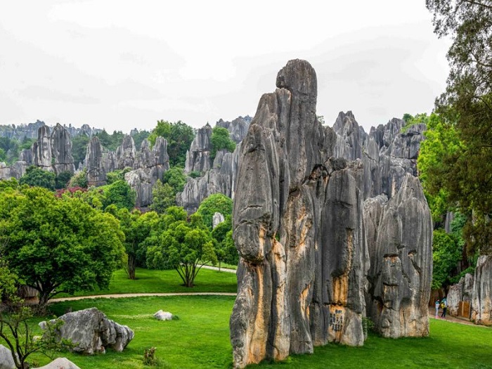 Stone Forest Scenic Area