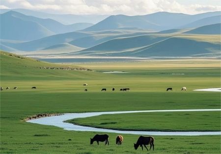 🌄若尔盖,是我永远的川西乌托邦_1_淮安_来自小红书网页版