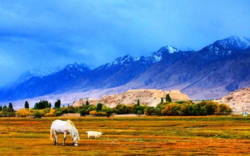 7 Days Exotic Xinjiang to Kashgar, Urumqi and Turpan