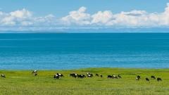 7-Day Tour of Northwest China (Qinghai and Gansu)