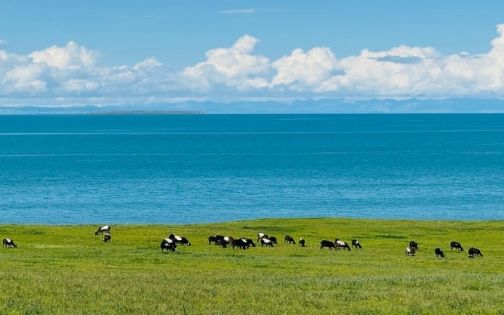 Qinghai Lake