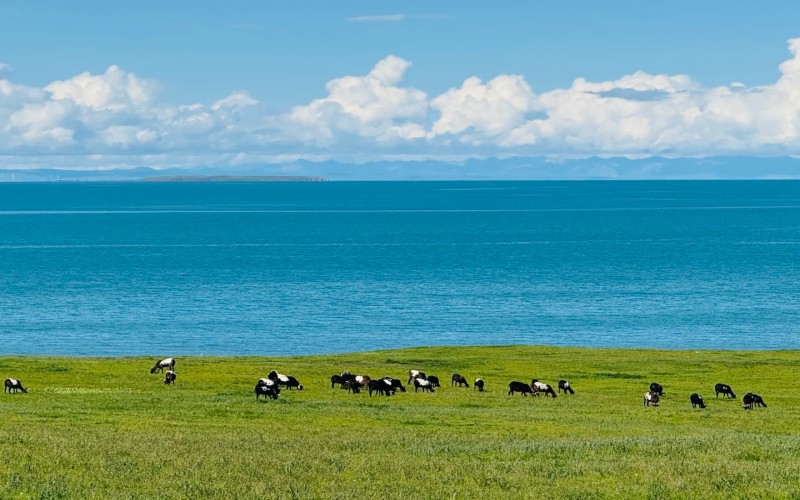 7-Day Tour of Northwest China (Qinghai and Gansu)