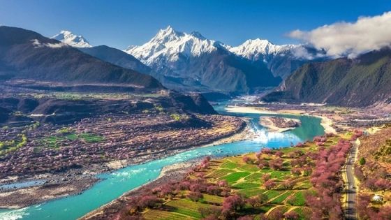 When Is the Best Time to See Peach Blossoms in Nyingchi Tibet? March and April!