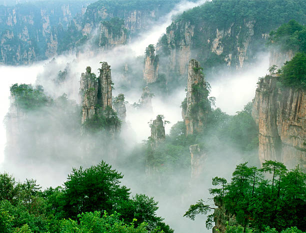 7-Day China Tour: Zhangjiajie Avatar Mountains, Changsha & Hong Kong