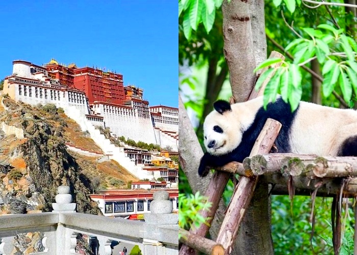 6-Day Chengdu to Lhasa Tour: Pandas, Potala Palace & Yamdrok Lake