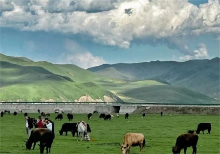 Exploring Gannan Tibetan Autonomous Prefecture: Tibet Without Being Tibet