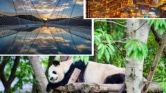 8 Days Chengdu, Chongqing and Zhangjiajie Tour: Pandas, Karst & Avatar Peaks