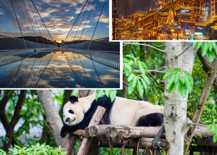8 Days Chengdu, Chongqing and Zhangjiajie Tour: Pandas, Karst & Avatar Peaks