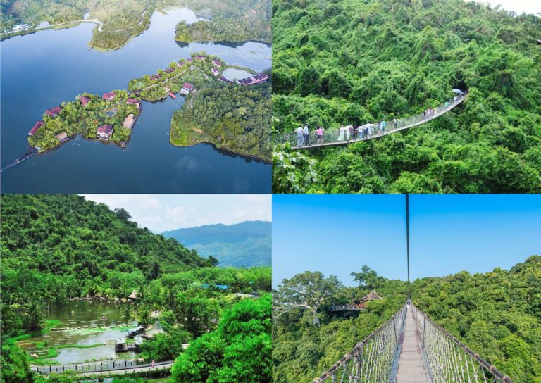 Hainan Tropical Rainforest National Park