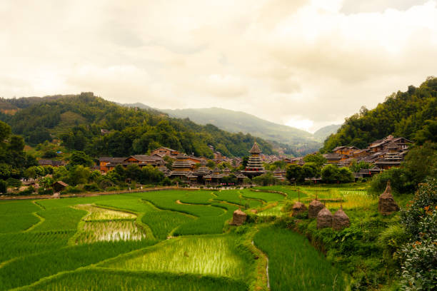 5-Day Essential Guizhou: Featuring Huangguoshu Waterfall & Xijiang Miao Village