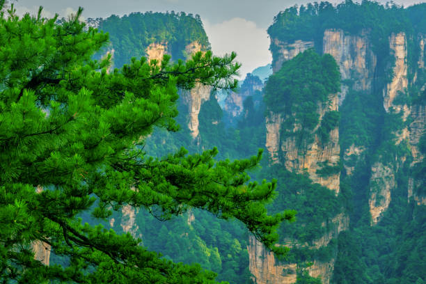 11-Day China Journey: Beijing to Xi’an to Zhangjiajie to Shanghai