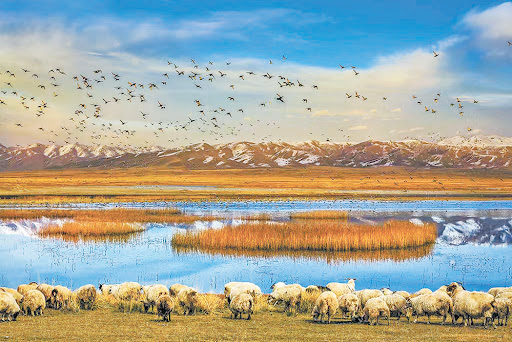 10-Day Tour to Explore the Mysterious Northwest China: Qinghai Lake+Mogao Caves, and More