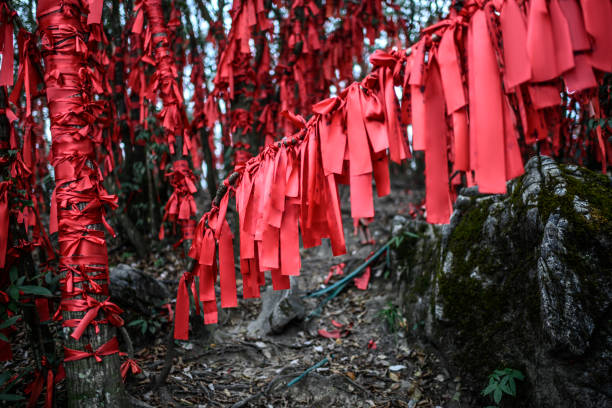 3-Day Zhangjiajie Adventure: Avatar Mountains & Grand Canyon