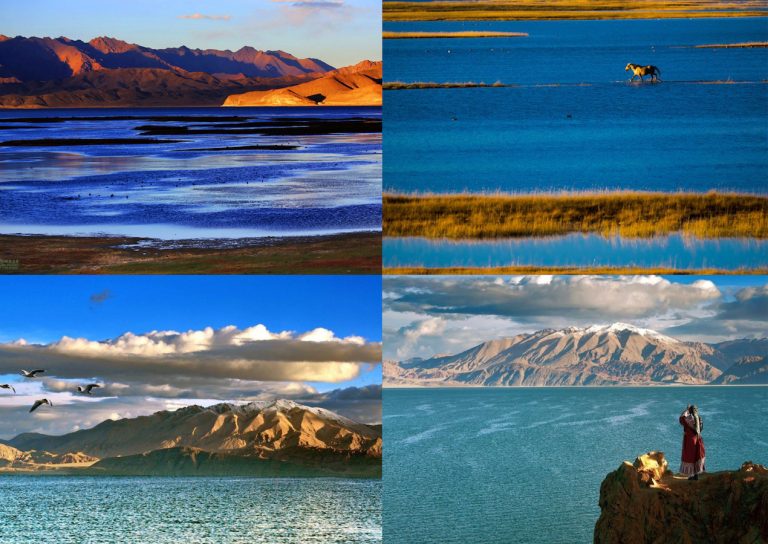 Pangong Lake National Park