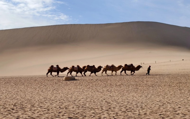10 Day Tour Revisiting the Silk Road | Urumqi+Dunhuang+Jiayuguan+Chaka Salt Lake+Xining