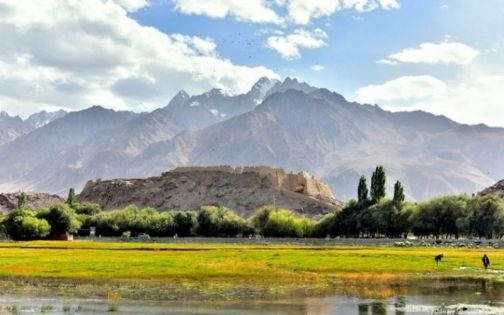 eb09d1cbee1de9b69a6af0f306034eb6