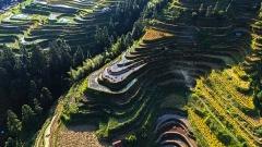 Guizhou Independent Travel: Experience Local Landscape and Culture